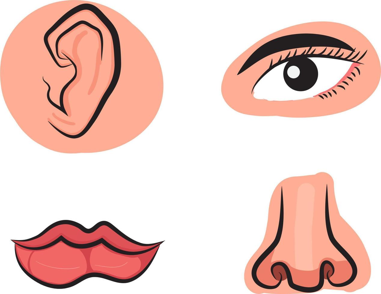 Eye, Ear & Nose