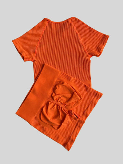 Seamless Butt Lifting Fitness Shorts and Yoga Short Sleeve Set